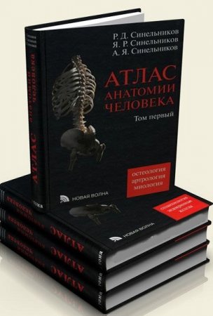 Обложка к Атлас анатомии человека. 4 тома. 7-е издание