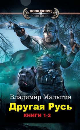 Обложка к Владимир Малыгин. Цикл книг - Попаданец. Другая Русь