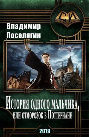 Обложка к Владимир Поселягин. История одного мальчика, или отморозок в Поттериане (2019)