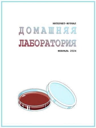 Обложка к Домашняя лаборатория №2 (февраль 2024)