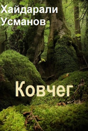 Обложка к Хайдарали Усманов. Цикл (7 книг) - Ковчег